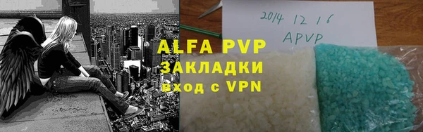 гидра Богородск