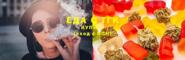 гидра Богородск