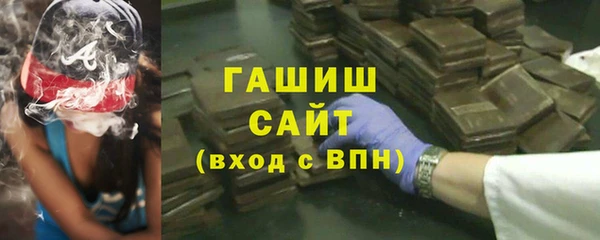 гидра Богородск