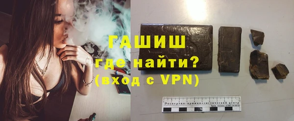 гидра Богородск
