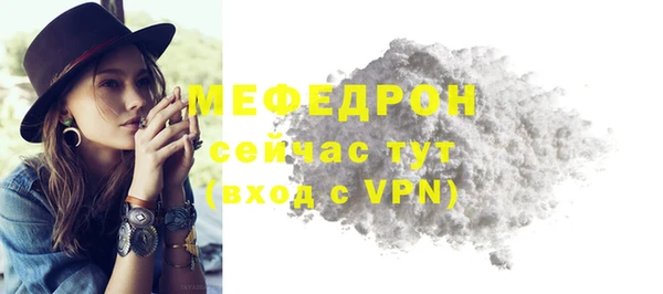 гидра Богородск