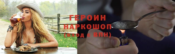гидра Богородск
