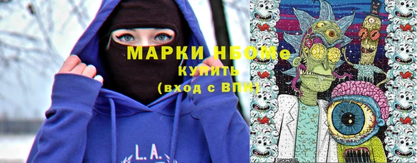 гидра Богородск