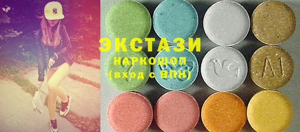 гидра Богородск