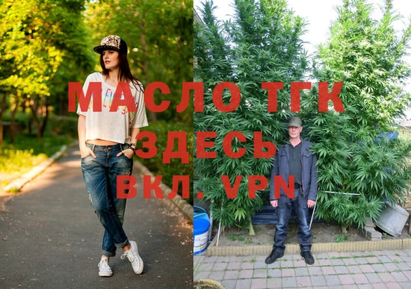 гидра Богородск