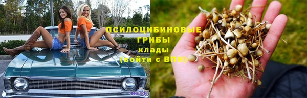 кокс Богданович