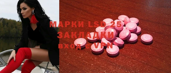 гидра Богородск