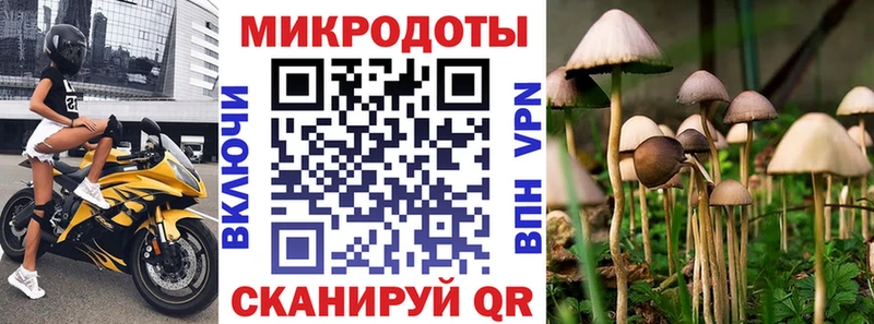 купить наркоту  Кохма  Галлюциногенные грибы GOLDEN TEACHER 